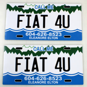 12" x 24" .030 car magnet, digital printed, matte laminated, round corners.